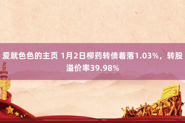 爱就色色的主页 1月2日柳药转债着落1.03%，转股溢价率39.98%