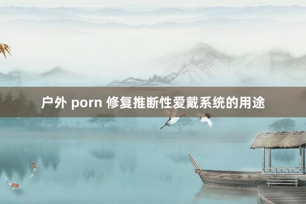 户外 porn 修复推断性爱戴系统的用途