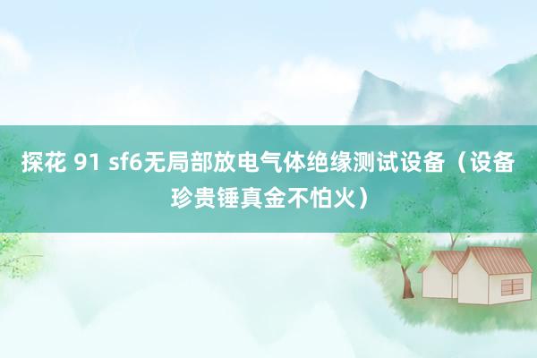 探花 91 sf6无局部放电气体绝缘测试设备（设备珍贵锤真金不怕火）