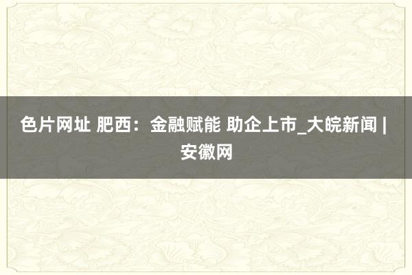 色片网址 肥西：金融赋能 助企上市_大皖新闻 | 安徽网