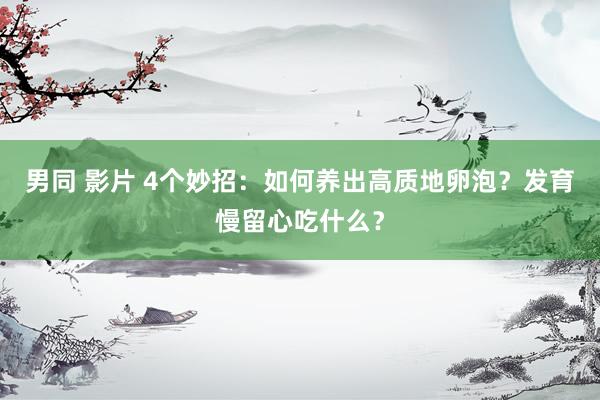 男同 影片 4个妙招：如何养出高质地卵泡？发育慢留心吃什么？