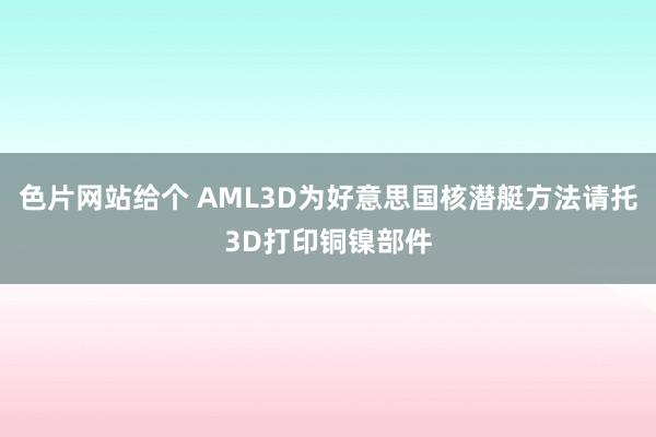 色片网站给个 AML3D为好意思国核潜艇方法请托3D打印铜镍部件