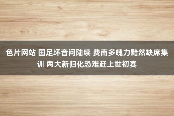 色片网站 国足坏音问陆续 费南多魄力黯然缺席集训 两大新归化恐难赶上世初赛