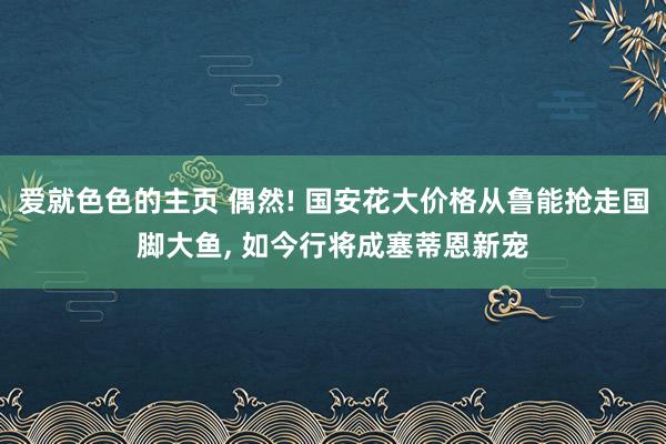 爱就色色的主页 偶然! 国安花大价格从鲁能抢走国脚大鱼， 如今行将成塞蒂恩新宠