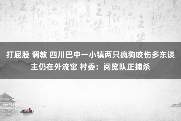 打屁股 调教 四川巴中一小镇两只疯狗咬伤多东谈主仍在外流窜 村委：阅览队正捕杀