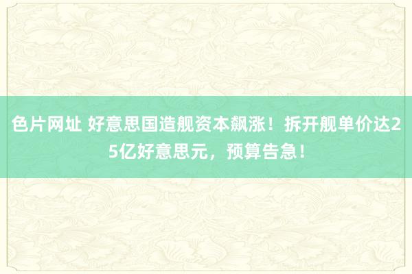 色片网址 好意思国造舰资本飙涨！拆开舰单价达25亿好意思元，预算告急！