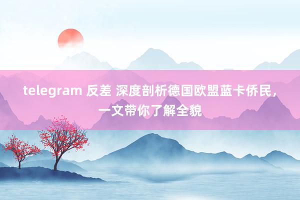 telegram 反差 深度剖析德国欧盟蓝卡侨民，一文带你了解全貌