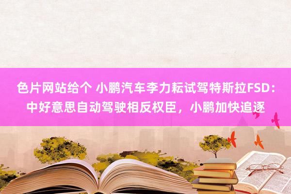 色片网站给个 小鹏汽车李力耘试驾特斯拉FSD：中好意思自动驾驶相反权臣，小鹏加快追逐