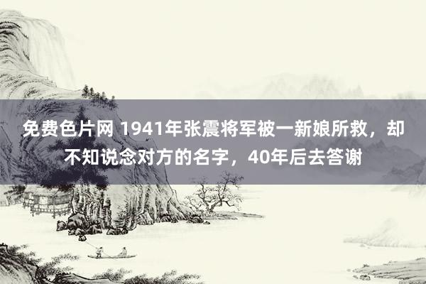 免费色片网 1941年张震将军被一新娘所救，却不知说念对方的名字，40年后去答谢