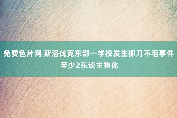 免费色片网 斯洛伐克东部一学校发生抓刀不毛事件 至少2东谈主物化